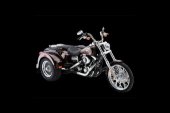2010 Lehman Trikes Renegade Dyna photo